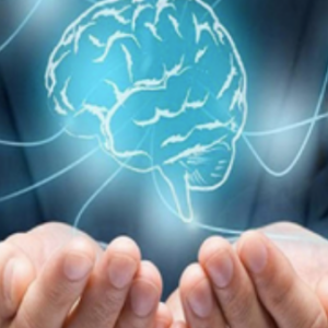 Business Psychology